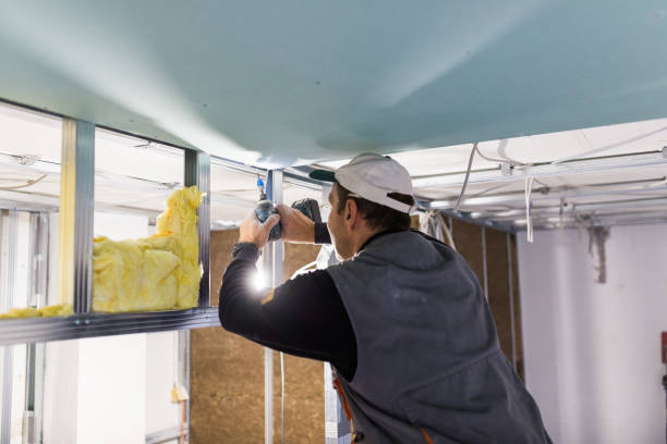Best Commercial Insulation in Dellwood, MN