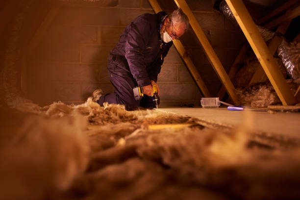 Best Residential Insulation in Dellwood, MN